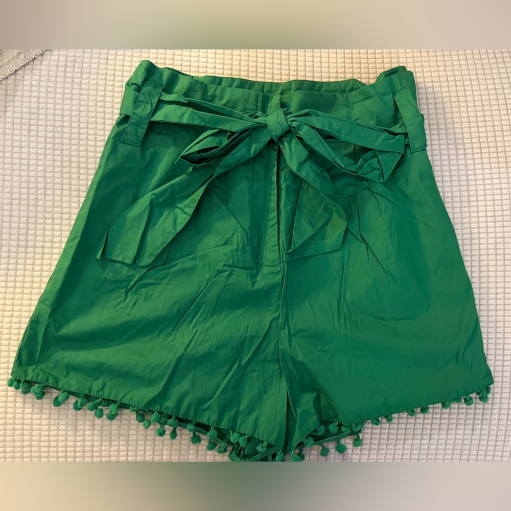 Sugarlips Emerald Shorts with Trim | Size M